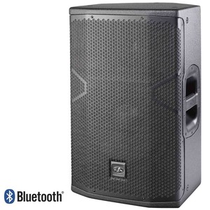 das 12 inch speakers