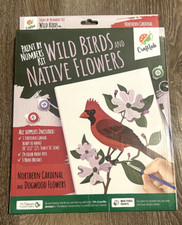 Paint by Numbers DIY Wild Birds Native Flowers Cardinal  Dogwood Acrylic 10x12"