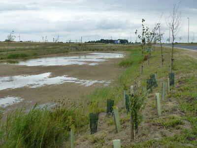 Photo 6x4 Pond on the edge of Stanground by-pass This recently opened sec c2011