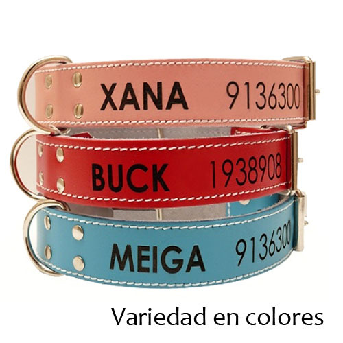 Collar Piel doble capa personalizados con nombre y teléfono para perros, mascota
