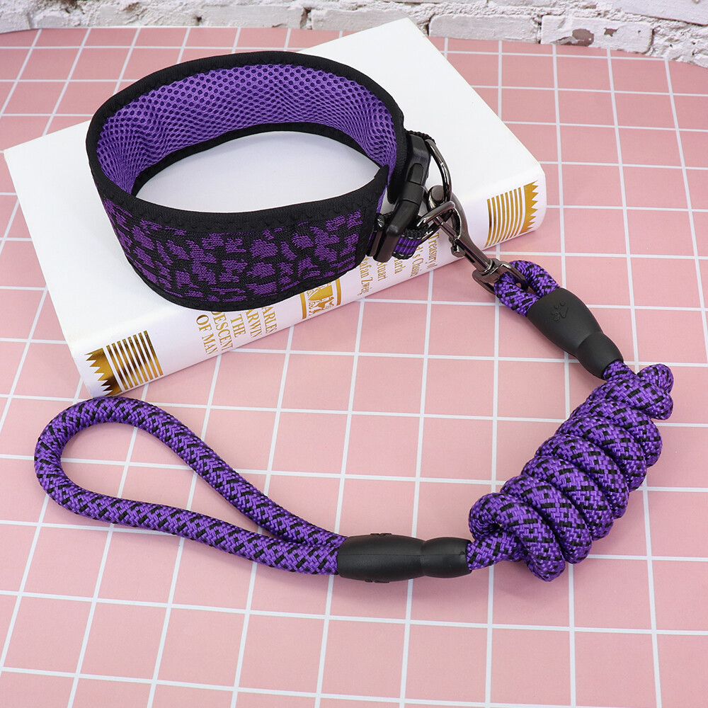 2 inch Wide Dog Collar and Lead Set Soft Air Mesh Padded Collar Rope