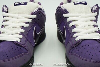 NIKE DUNK LOW SB USED SIZE 11 CONCEPTS PURPLE LOBSTER NIKE DUNK LOW SB USED SIZE 11 CONCEPTS PURPLE LOBSTER