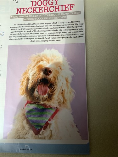 Charity Knit Doggy Dog Neckerchief Knitting Pattern - Stash Buster