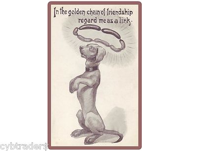  Dachshund Dogs Funny Link Refrigerator / Tool Box  Magnet Gift Card Insert