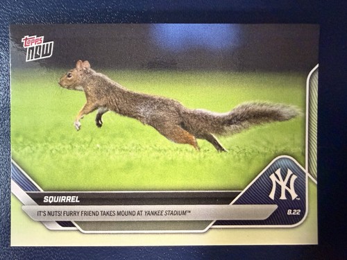 2025 Topps Now 596 SQUIRREL
