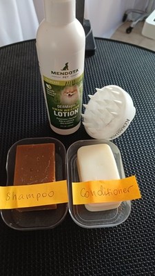DERMagic Skin Shampoo, Conditioner und Lotion  für Hunde bei Alopezie