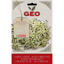 SEMI BIO DI AGLIO ORIENTALE PER GERMOGLI 6GR SEMENZAIO SEMENTI SEEDS