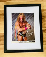 1990 Ultimate Warrior Toys “R” Us Licensed Promo Photo Framed Vintage WWF Rare