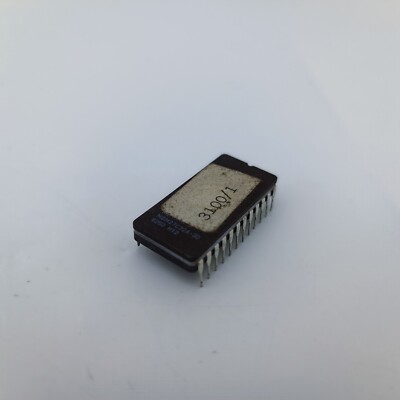 Dana Plus Replacment CHIP Processor 3100 / 1 f/ Marine Instrument