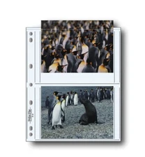 50 x PRINT FILE 5x7" Prints Photo Pages Sleeves Clear Archival Preservers 57-4P