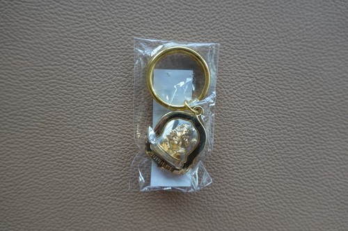 Supreme Ganesh Keychain Gold SS18 – Brand New & Sealed – Rare Accessory - Picture 3 of 4