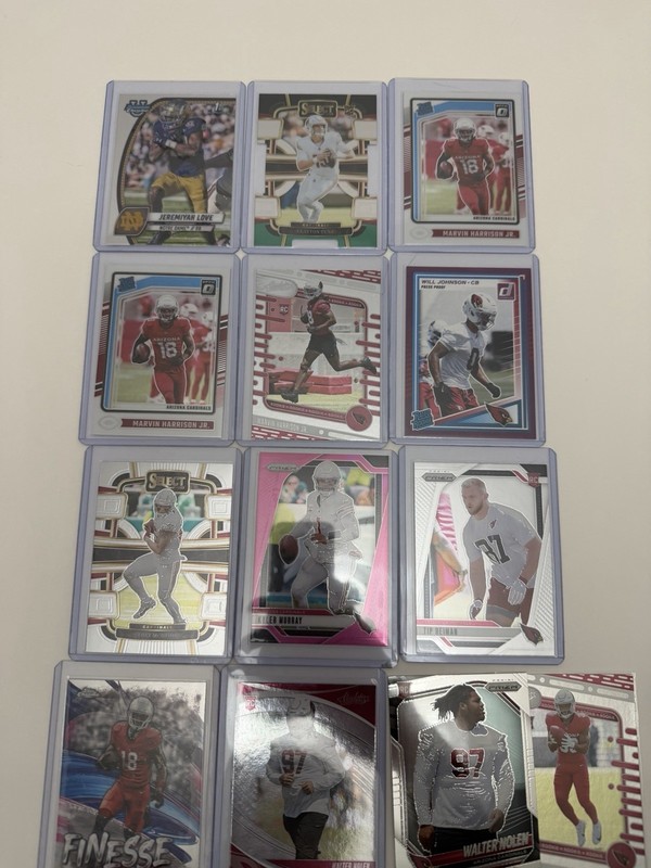 Arizona Cardinals Team Lot