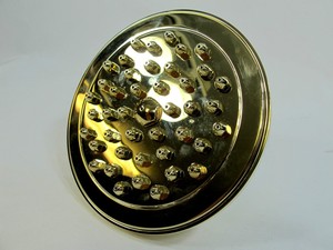 New Rare Polished Brass Alsons Tropical Rain Shower Head 699 2010 ... New Rare Polished Brass Alsons Tropical Rain Shower Head 699 2010 ...