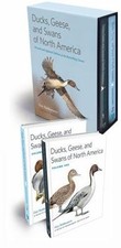 Ducks, Geese, and Swans of North America: 2-vol. set by Baldassarre, Guy