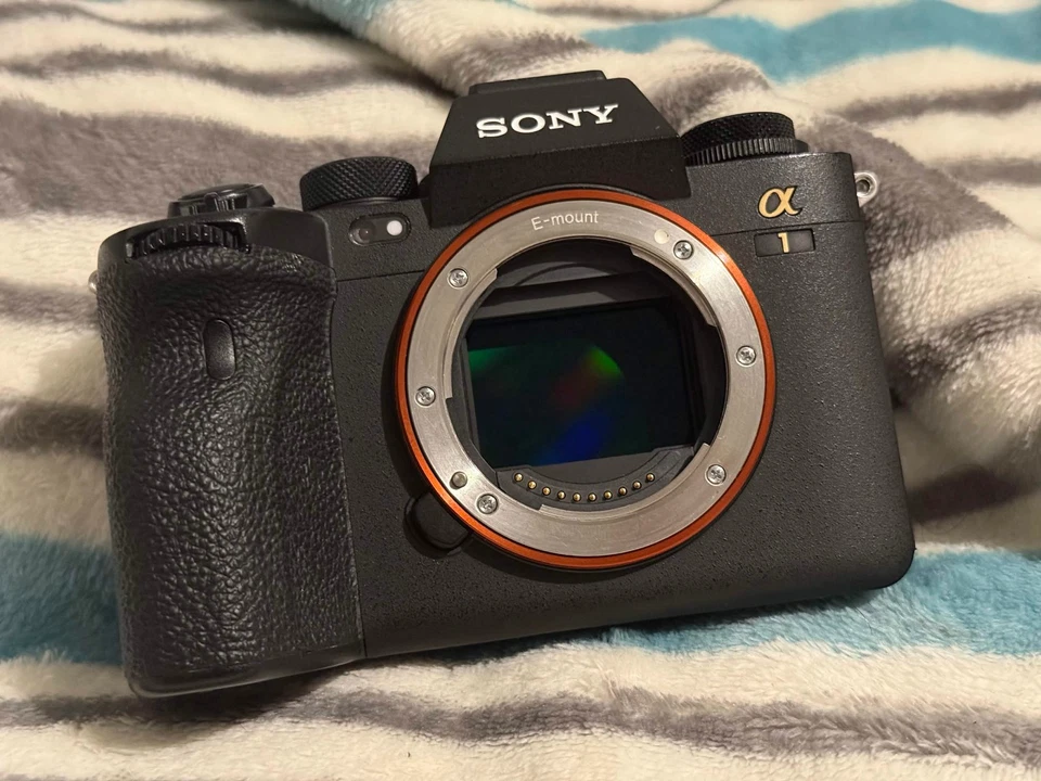 Sony Alpha 1, photo 1 of 5