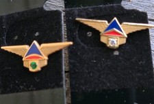 Delta Airlines 15 & 20 Year Diamond BOTH 10k ...