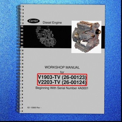 THERMO KING V1903-TV V2203-TV Diesel Engine Workshop Manual - LOOP BOUND