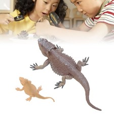 Lizard Life Cycle Figurine Toy Educational Interactive Lifelike Simulated