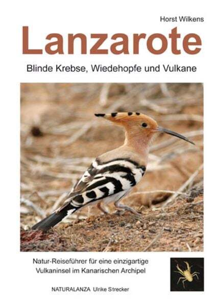Thumbnail - Lanzarote - Blinde Krebse, Wiedehopfe Und Vulkane