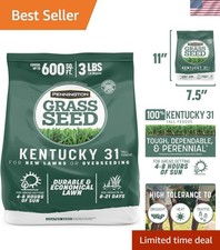 Kentucky 31 Tall Fescue Grass Seed 3 lb - Ideal for Clay Soils, Fast Growth