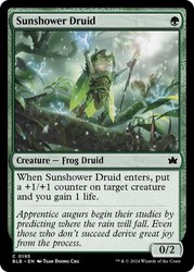 Sunshower Druid 195 Foil Bloomburrow MTG