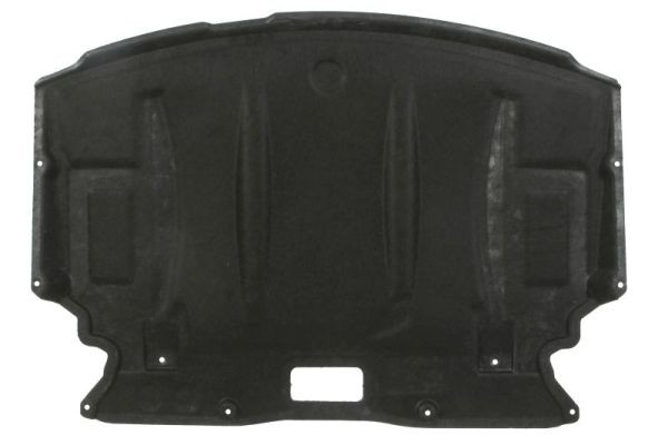 BLIC 6601-05-0000035P Engine Cover for BMW