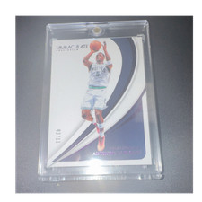 Panini Immaculate Collection Anthony Edwards #27 Fotl Basketball Card /11