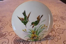 Green Bird & Floral Vintage Hand Paint Signed Porcelain China Wall Hanging Plate