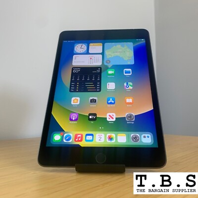 iPad mini 5 Wi‑Fi+Cellular 64GB スペースグレイ Free Shipping