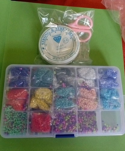 Bead Bracelet Making Kit 12 Colors Beads for Jewelry See All Photos