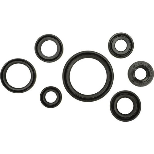 Winderosa 822238 Huile Moteur Seal Kit