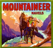 Claremont Mountaineer #1 Gold Digger Orange Citrus Fruit Crate Label Art Print