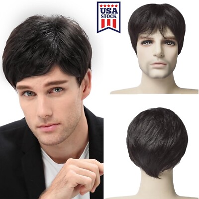 Men's Black Men Wig Short Full Wigs Straight Little Wavy Synthetic Layer Hair US