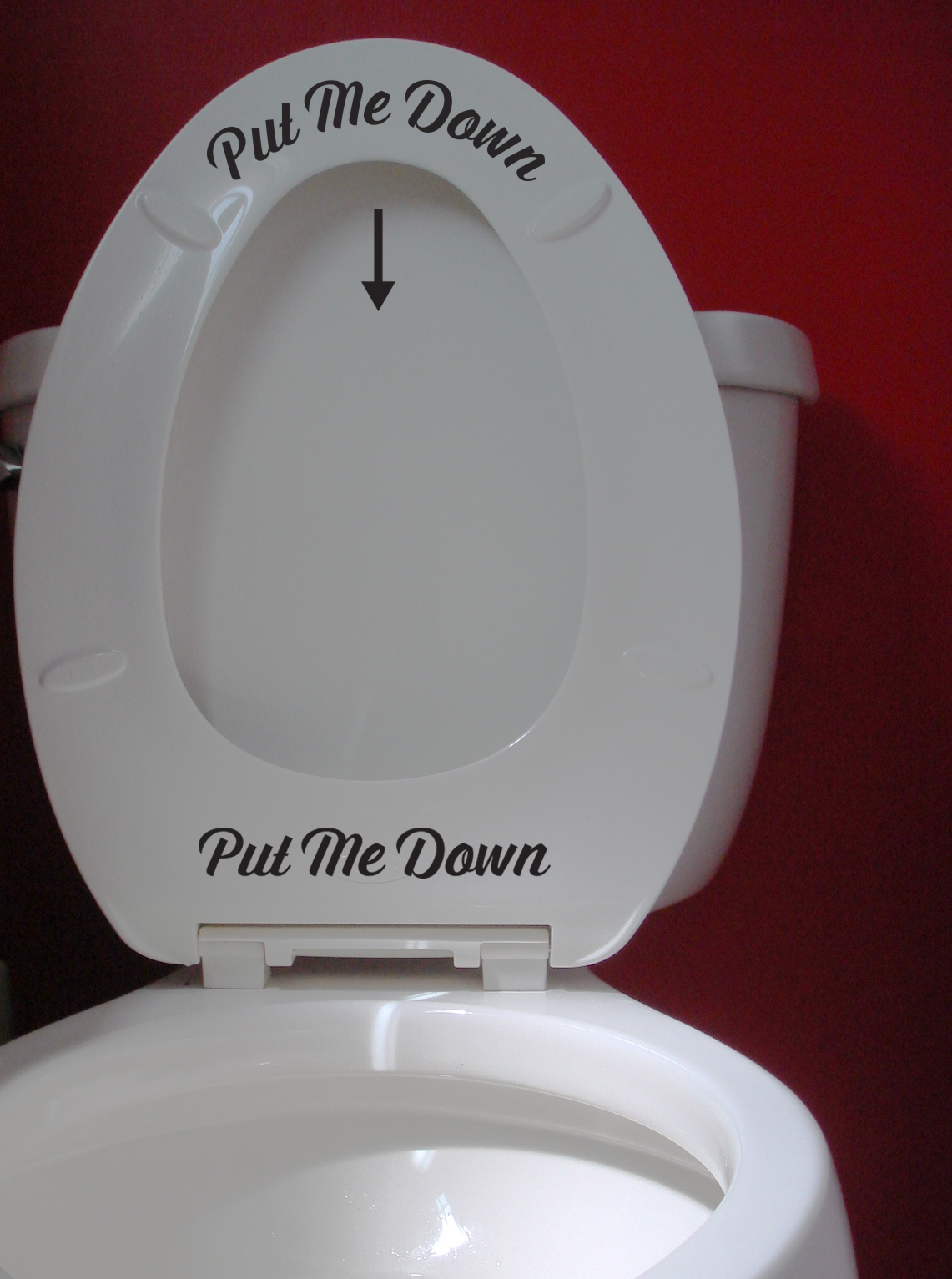 "Put Me Down" Toilet Seat Sign Sticker Removable Decal Funny Humorous