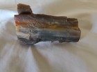 1.8oz Petrified Wood 2.5"+ x 1.25"+ — photo 1