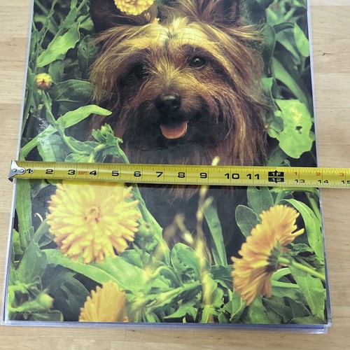 4 Vintage Laminated Puppy Dog Poster 14x21 Smile Hug Friend Dog House - Picture 13 of 14