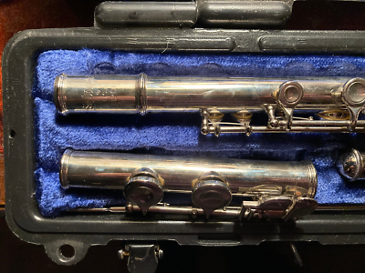 Bundy Selmer Resonite Flute Bundle In Case | eBay