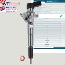 Renault Nissan Mercedes Diesel Injector | 1.5 dCi | H8201100113 166006212R