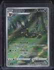 2025 Pokemon Chinese Crown Zenith #0615 Umbreon