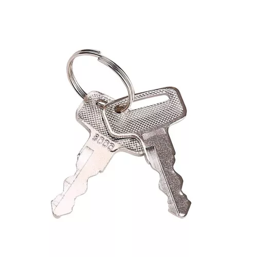 1Pairs EZGO Golf Cart Keys RXV TXT Medalist Marathon 1982-UP US - Picture 6 of 9