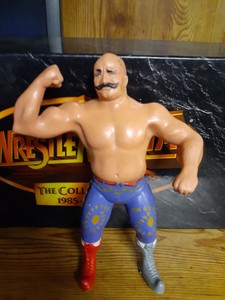 1984 titan sports wrestlers