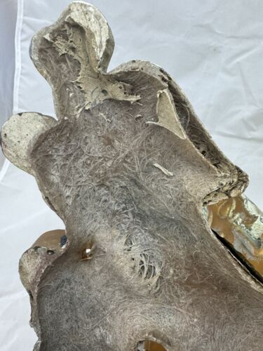 Vintage asiatische Drachen Kragsteine skulpturale Fiberglas architektonische Wandhalterung - Bild 9 von 18