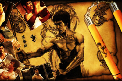 Bruce Lee Poster Wall Art Home Decor Photo Prints 16x24, 20x30, 24x36''