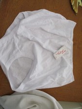 NWT INTIMATE FASHIONS BY TERI WHITE BRIEF PANTY SIZE  10 underwear