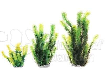 UNDERWATER TREASURES Bushy Diandra Artificial Aquarium Plant 6", 12" or 16"