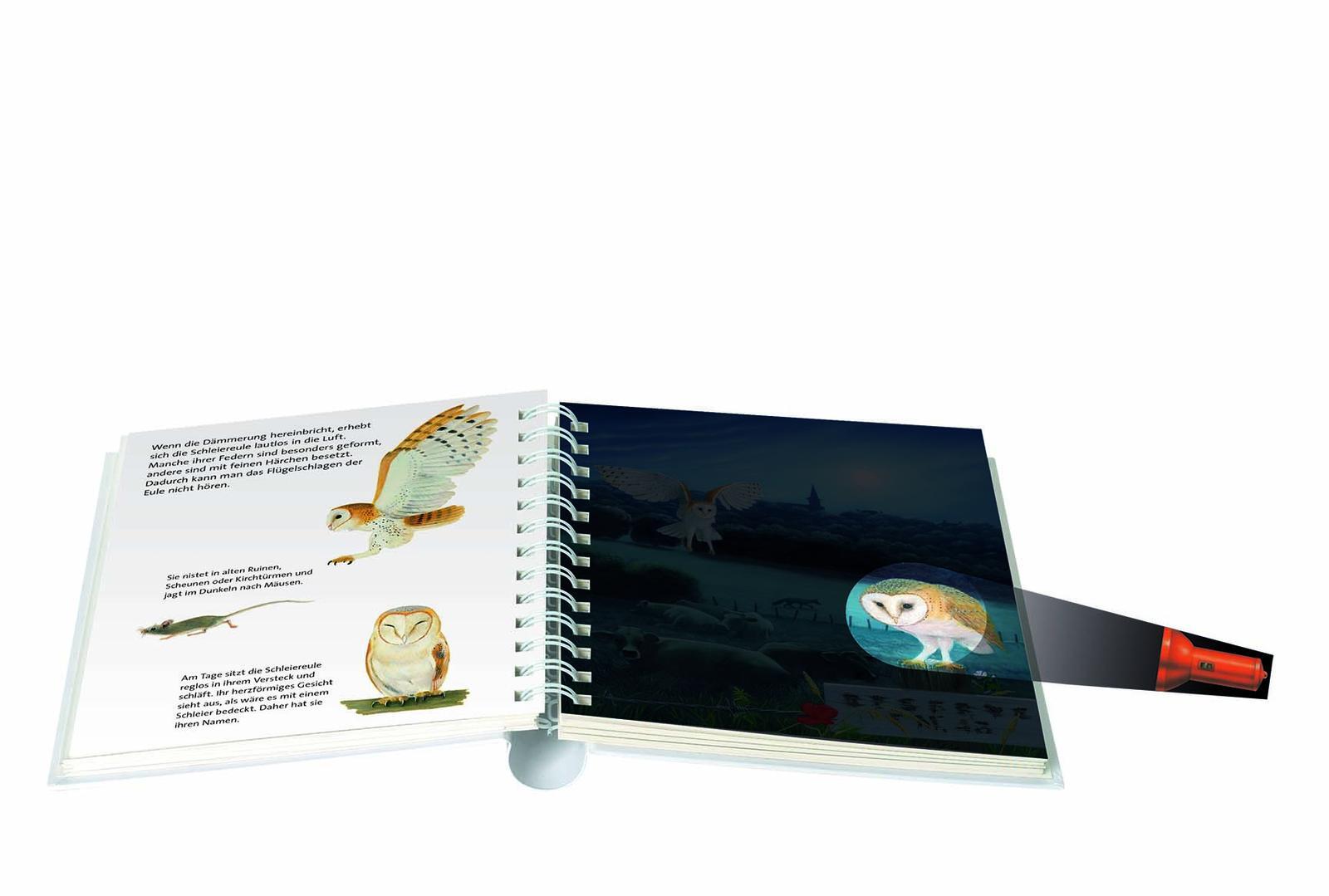 Thumbnail - Tiere Der Nacht