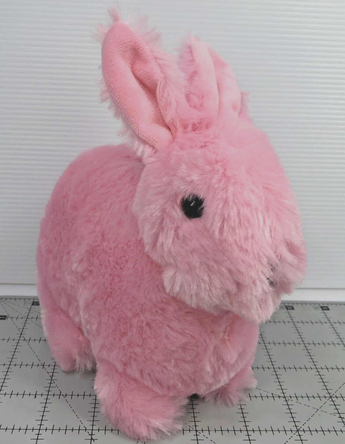 Picture 2 of 11