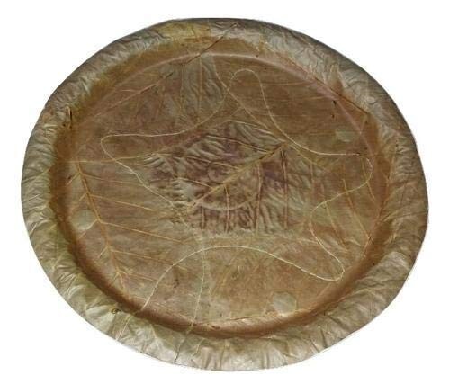 Natural Biodegradable Disposable SAL Leaf Plates -Pack of 50 - Picture 1 of 3