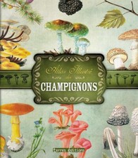 Atlas illustré des champignons - Georges Becker - Terres éditions