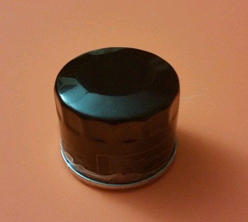 Ölfilter Für MTD Motor 4P90 - Qualitätsersatzteil